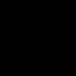 Meet your Posher, Creighton